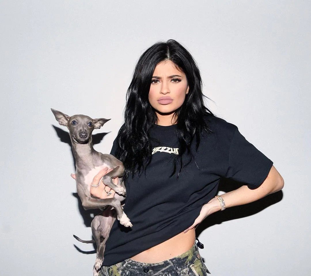 How many dogs does Kylie Jenner have?